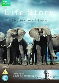 Life Story (2014–2015) S01 Complete 720p Blu-Ray