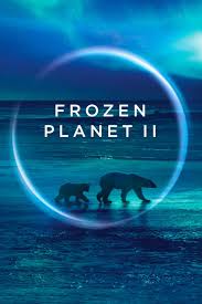 Frozen Planet II (2022) S01 Complete 720p WEB