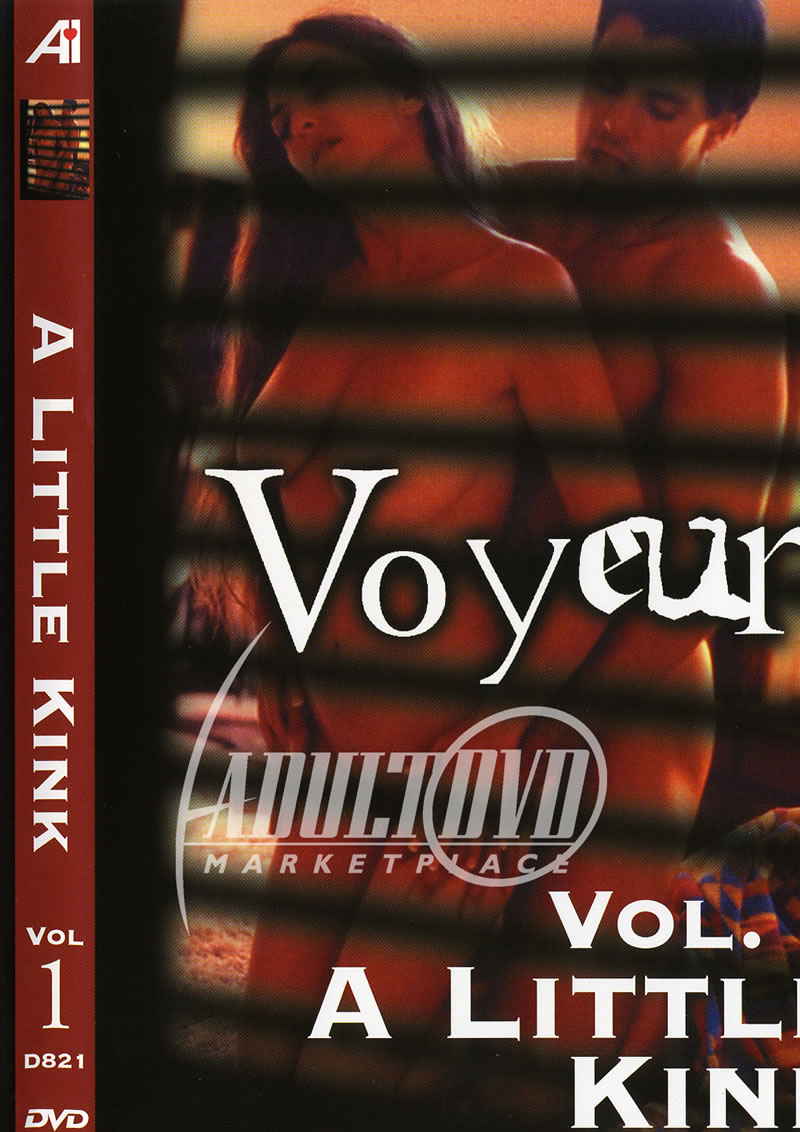 Voyeur 1 A Little Kink 2004