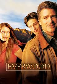 Everwood (2002–2006) S01-02-03-04 Complete 720p WEB