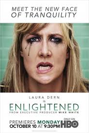 Enlightened (2011–2013) S01-02 Complete 720p Blu-Ray
