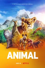 Animal (2021-2022) S01-02 Complete 720p WEB
