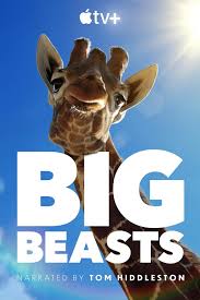 Big Beasts (2023) S01 Complete 720p WEB