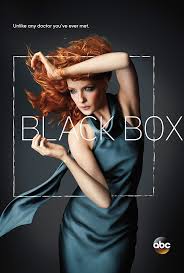 Black Box (2014) S01 Complete 720p WEB