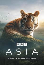 Asia (2024-) S01 Complete 720p WEB