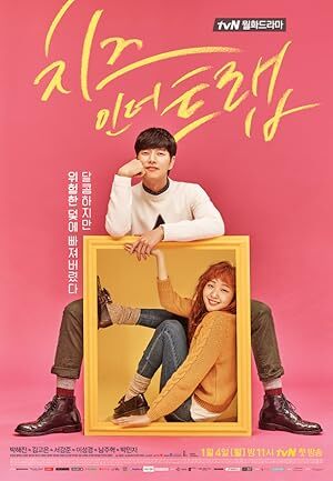 Cheese in the Trap (2016) S01 Complete 720p WEB