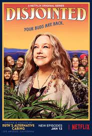 Disjointed (2017–2018) S01 Complete 720p WEB