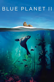 Blue Planet II (2017) S01 Complete 720p Blu-Ray