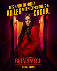 Briarpatch (2019-2020) S01 Complete 480p WEB