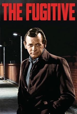 The Fugitive (1963) S01-02-03-04 Complete 480p WEB