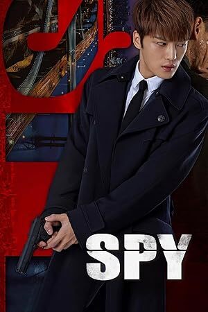 Spy (2015) S01 Complete 720p WEB
