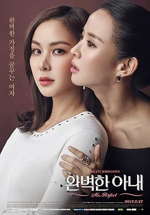 Perfect Wife (2017) S01 Complete 720p WEB