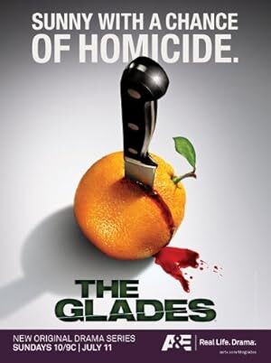 The Glades (2010) S01-02-03-04 Complete 1080p WEB