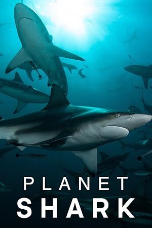 Planet Shark (2022) S01 Complete 720p WEB