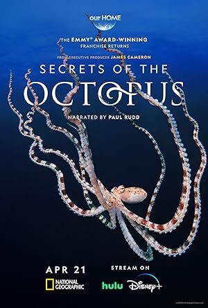Secrets of the Octopus (2024) S01 Complete 720p WEB