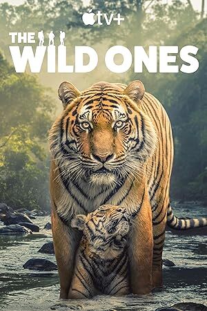 The Wild Ones (2025) S01 Complete 720p WEB