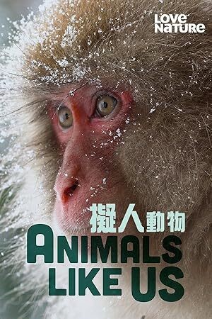 Animals Like Us (2024) S01 Complete 720p WEB