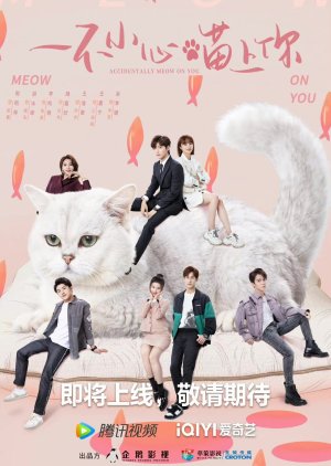 Accidentally Meow on You (2022) S01 Complete 720p WEB
