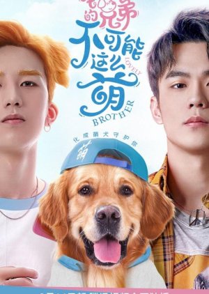 Lovely Brother 2022 S01 Complete 720p WEB