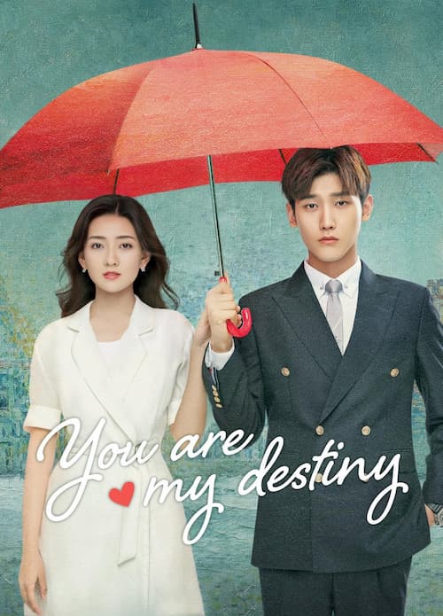 You Are My Destiny 2020 S01 Complete 720p WEB