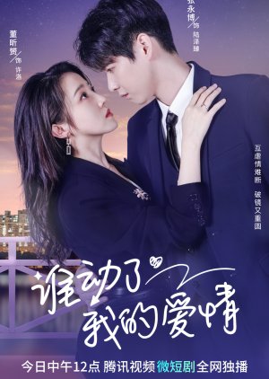 Love Starts After Divorce 2023 S01 Complete 720p WEB