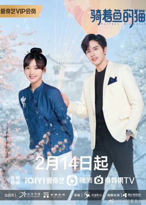 Perfect Mismatch 2023 S01 Complete 720p WEB
